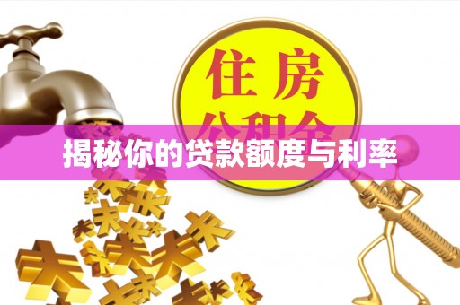 井陉揭秘你的贷款额度与利率